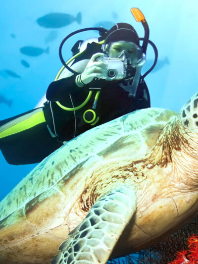 Scuba diving on maldives