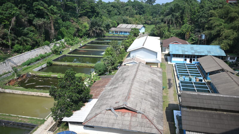 Field lab