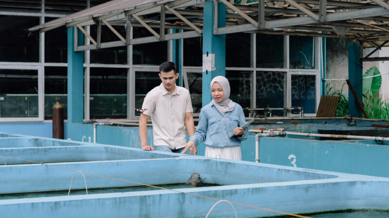 Field lab(10)