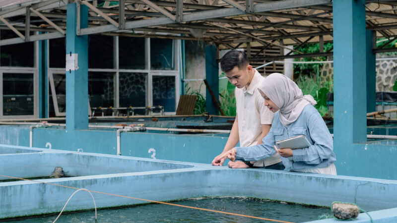 Field lab(11)
