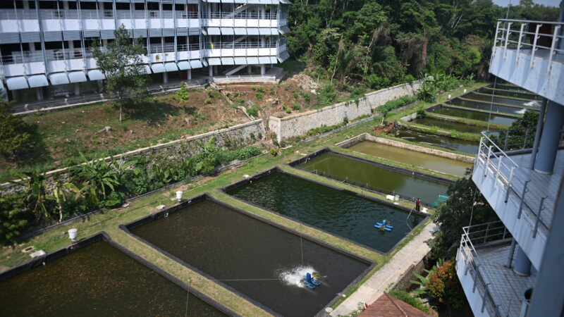 Field lab(4)
