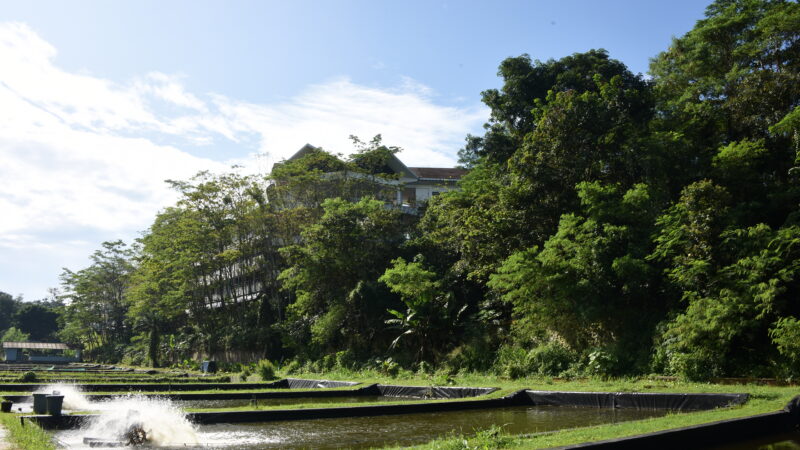Field lab(7)