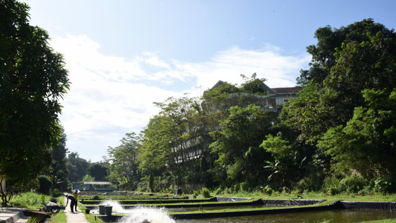 Field lab(9)